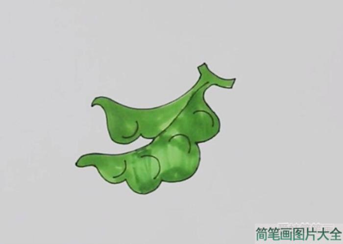 豆角简笔画  第4张