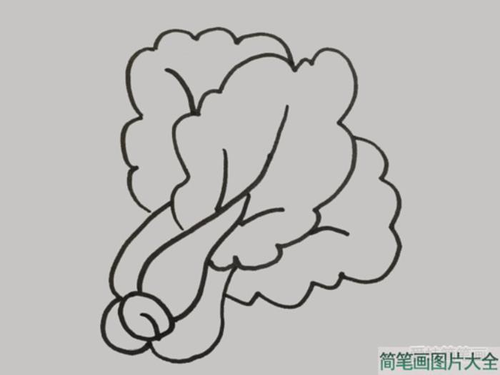 青菜怎么画  第3张