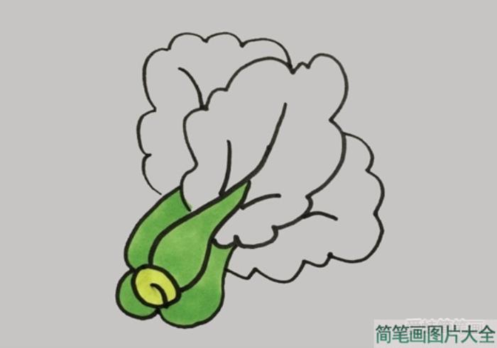 青菜怎么画  第4张