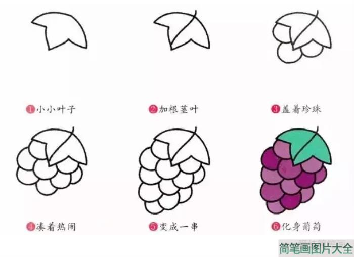 生活中常见的水果  第3张