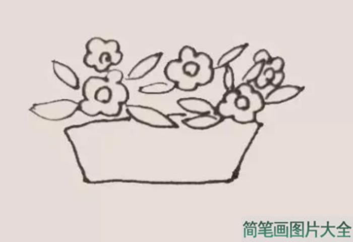 插花的花瓶  第4张