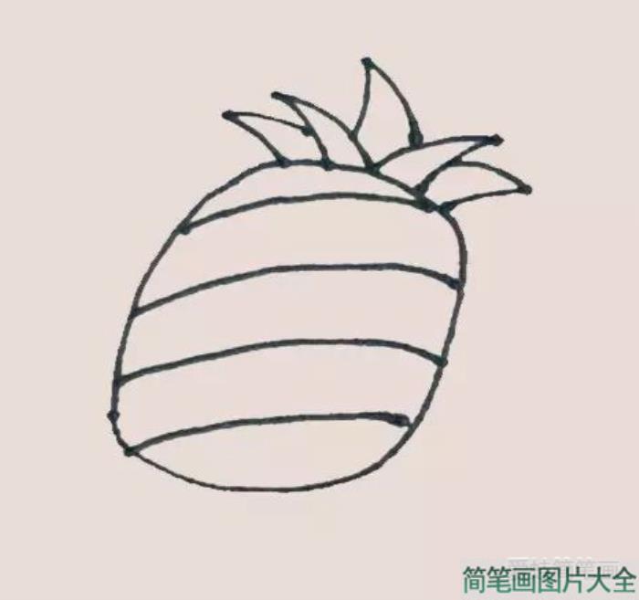 菠萝简笔画  第3张