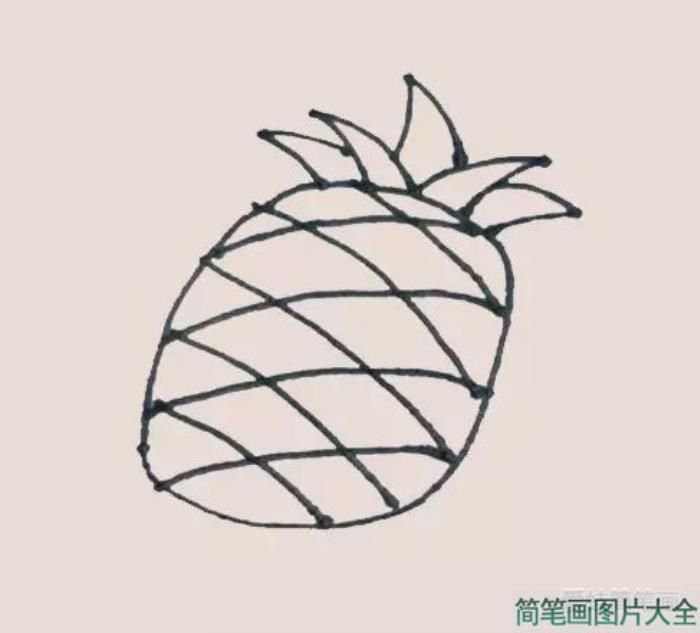 菠萝简笔画  第4张