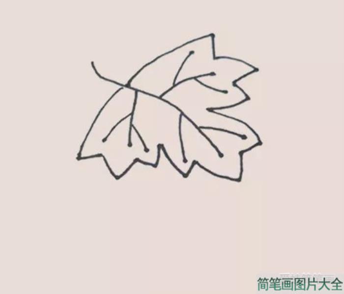 葡萄简笔画  第3张