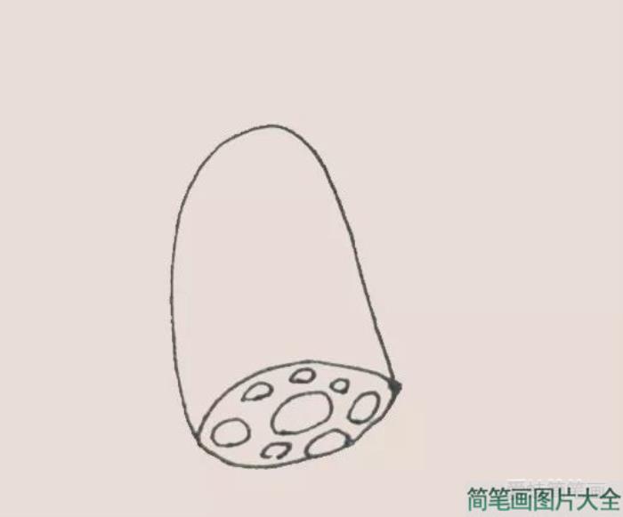 简笔画之莲藕  第2张