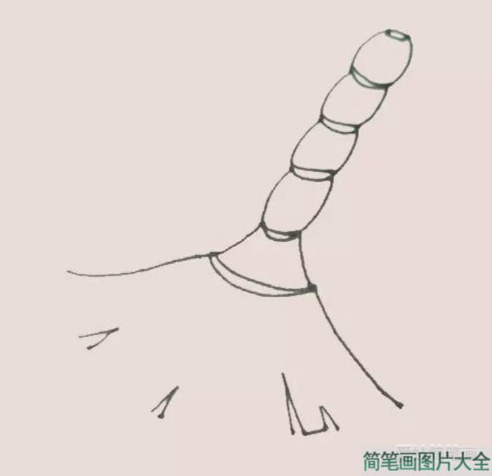 简笔画之扫把  第4张