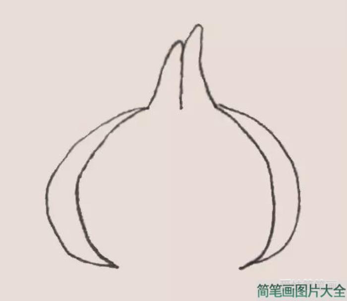 简笔画之大蒜  第3张