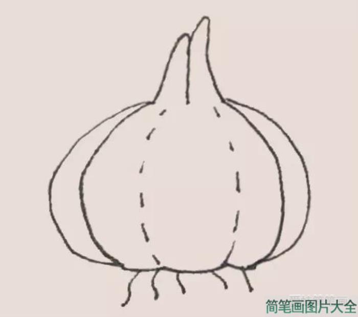 简笔画之大蒜  第5张