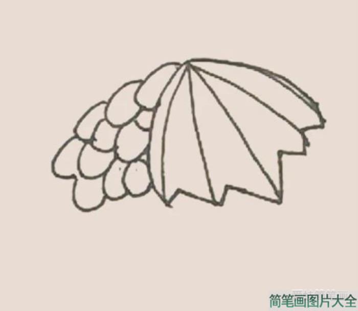 简笔画之提子  第4张