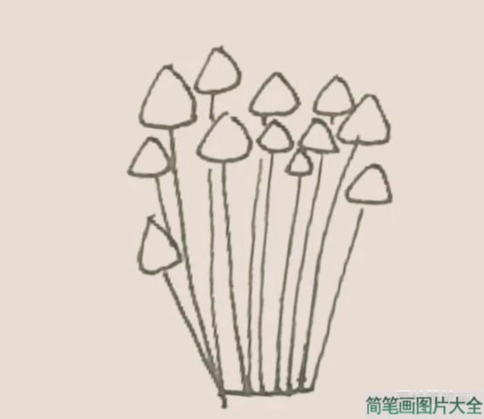 简笔画之金针菇  第4张