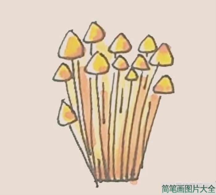 简笔画之金针菇  第6张