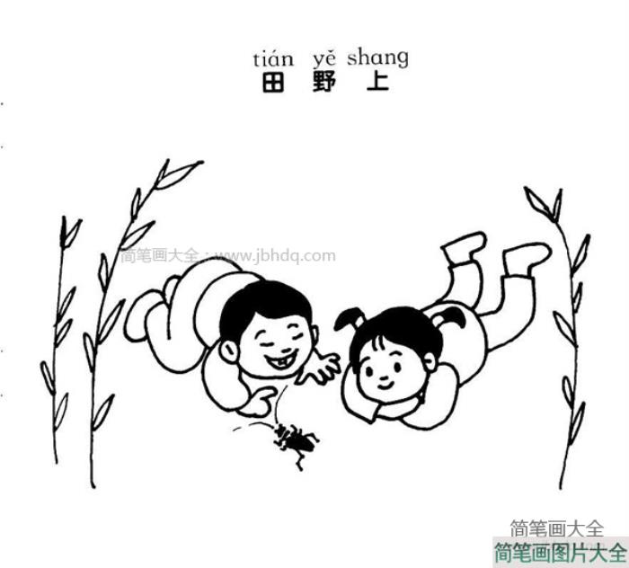 观察小动物简笔画  第1张