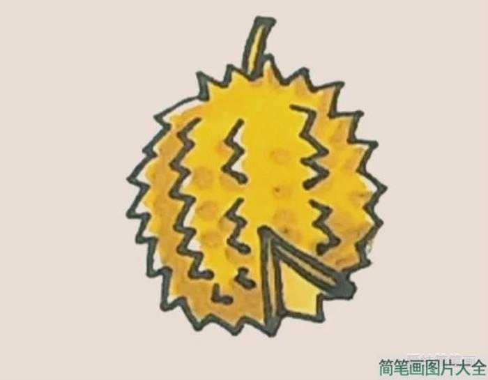 简笔画之榴莲  第5张