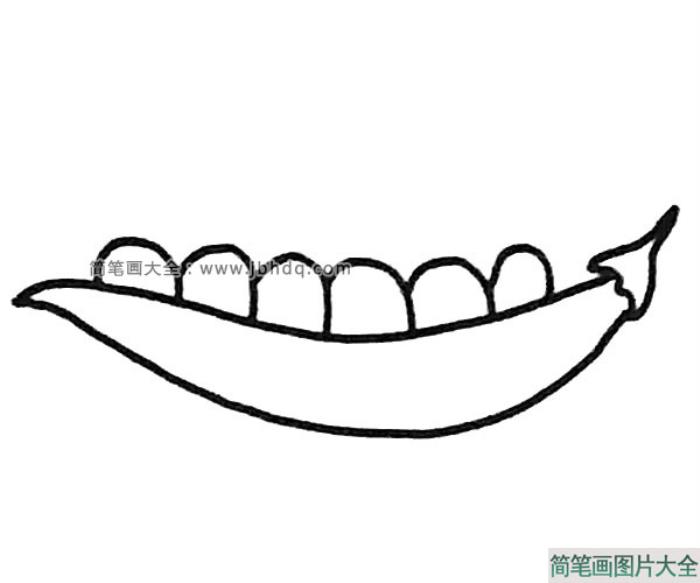 6张豌豆简笔画图片  第3张
