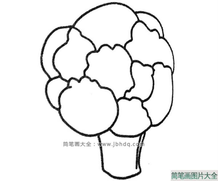 5张西兰花简笔画图片  第5张