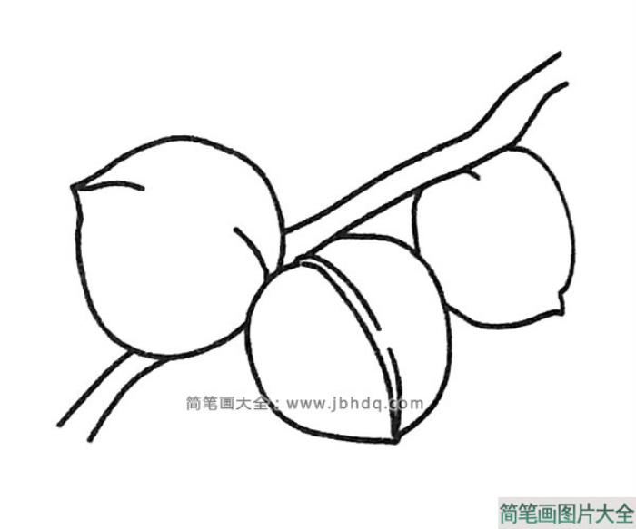 四张漂亮的桃子简笔画图片