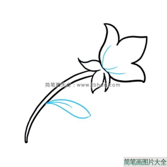 我爱你妈妈_母亲节花朵简笔画  第4张