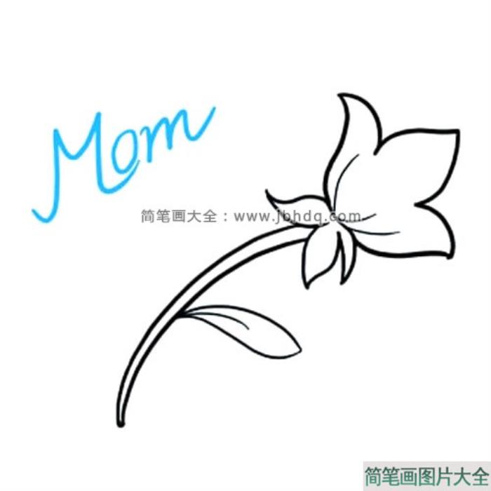 我爱你妈妈_母亲节花朵简笔画  第5张