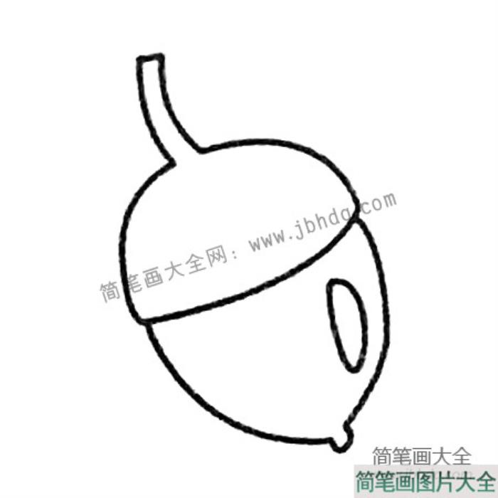 坚果简笔画大全及画法步骤  第3张