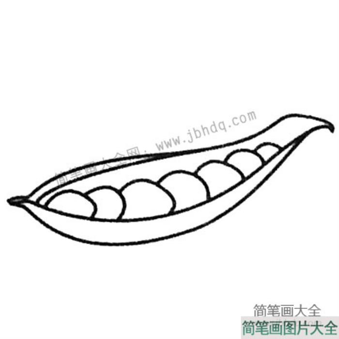 豌豆简笔画大全及画法步骤  第4张