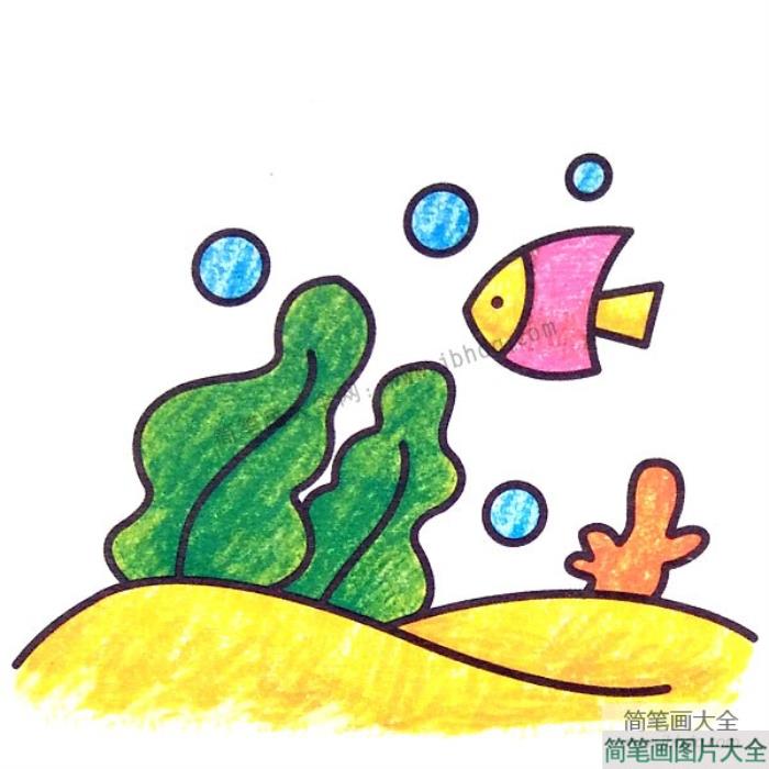 漂亮的海底风景简笔画  第2张