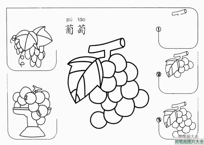 葡萄怎么画