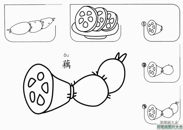 藕怎么画