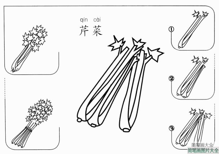 芹菜怎么画  第1张