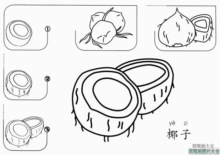 美味的椰子怎么画  第1张