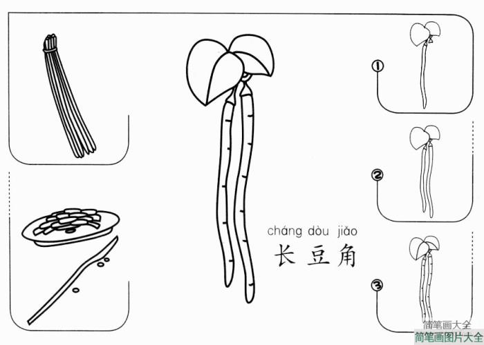 长豆角怎么画  第1张