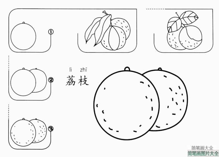 荔枝怎么画  第1张