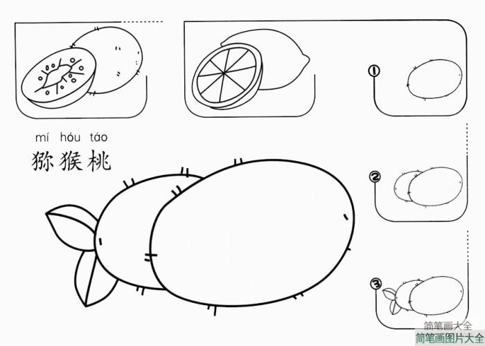 猕猴桃怎么画