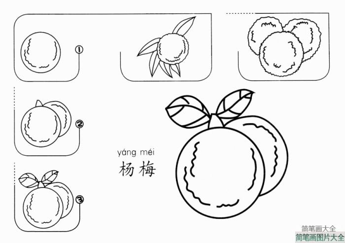 杨梅怎么画