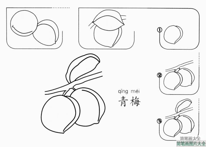 青梅怎么画  第1张