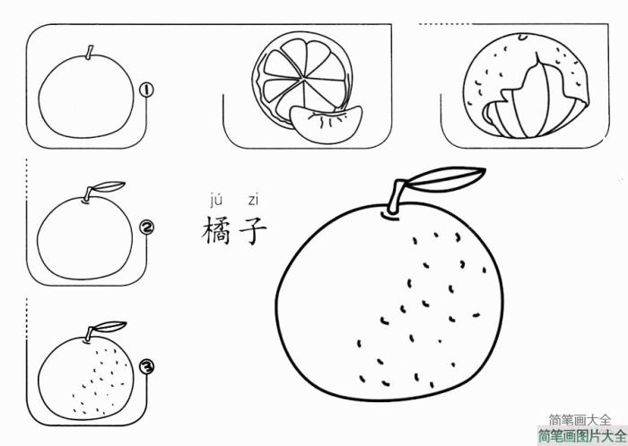 橘子简笔画画法