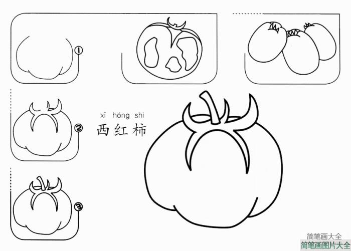 西红柿怎么画