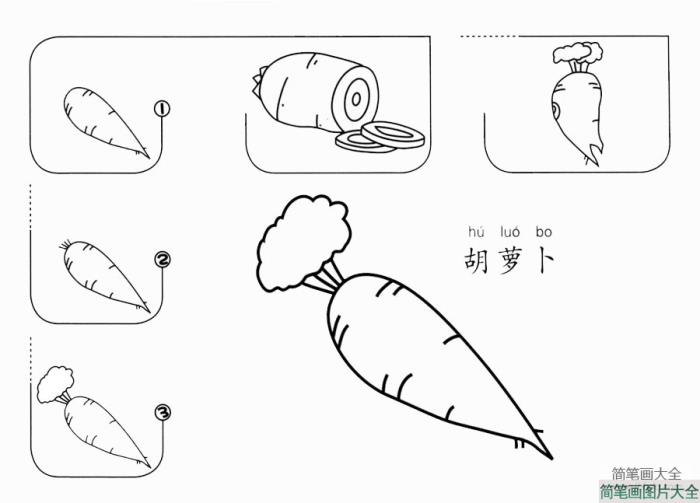 胡萝卜的画法步骤