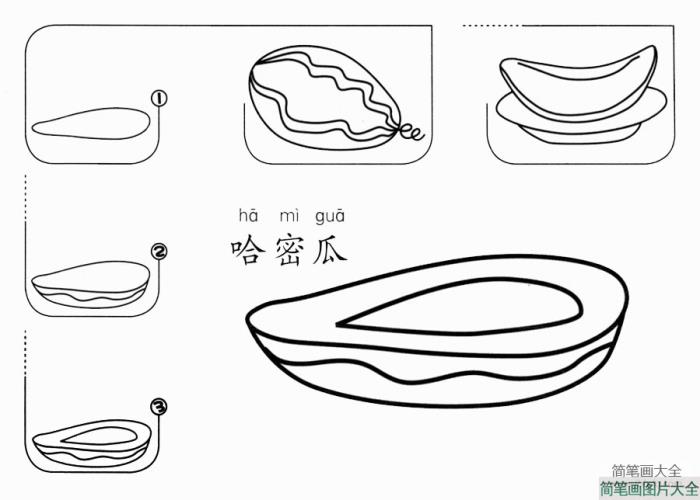 哈密瓜怎么画