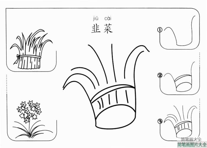 韭菜怎么画  第1张