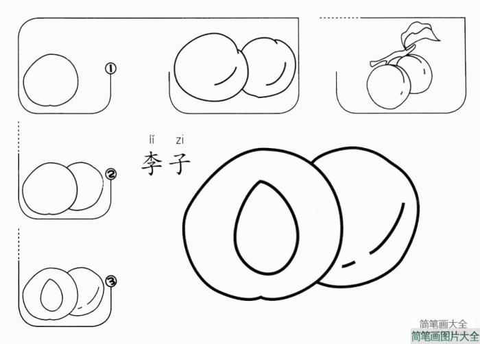 李子怎么画