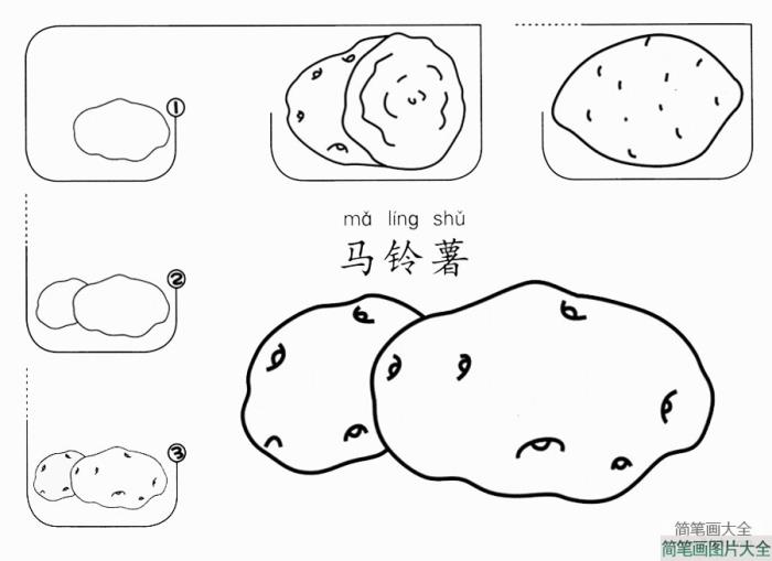 马铃薯怎么画  第1张