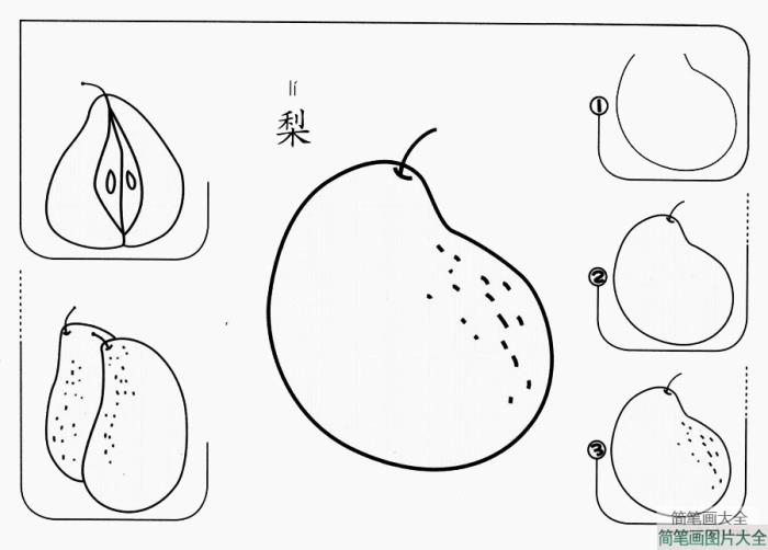 梨怎么画  第1张