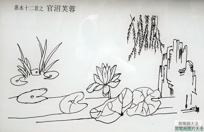 荷塘柳树简笔画