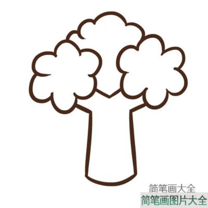 花菜简笔画画法  第3张