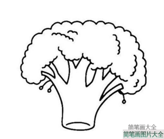 西兰花花菜简笔画  第2张