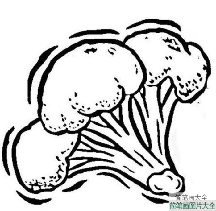 西兰花花菜简笔画  第3张