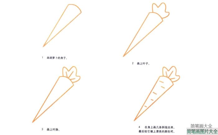 胡萝卜的简笔画画法  第2张