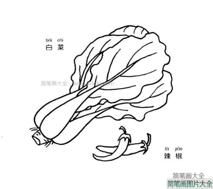 白菜和辣椒简笔画图片