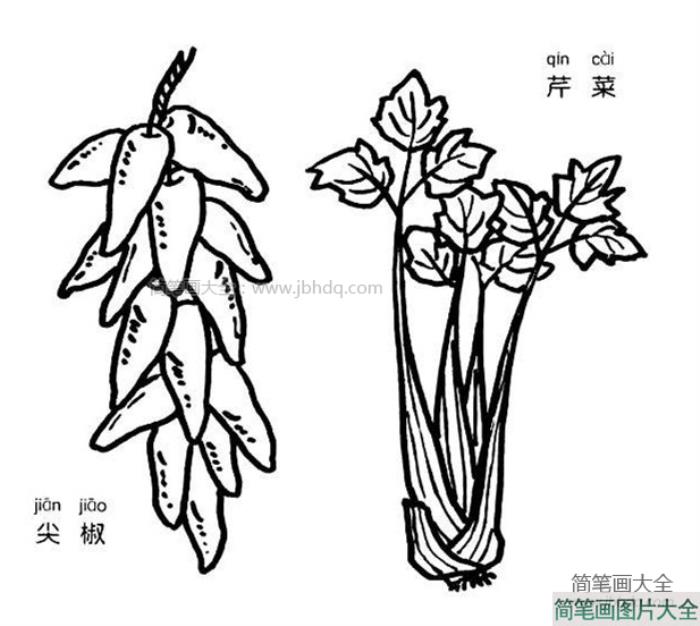 芹菜和尖椒简笔画图片