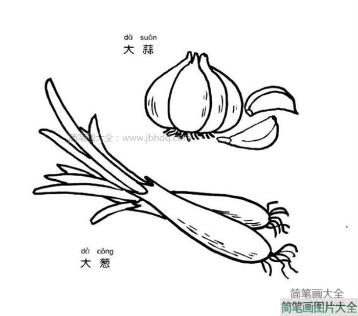 大蒜和大葱简笔画